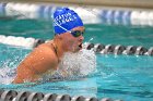 Swimming & Diving vs Babson  Swimming & Diving vs Babson College. - Photo by Keith Nordstrom : Wheaton, Swimming